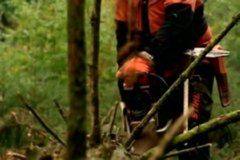 STIHL 48  IMAGEN FOTOGRAFIA